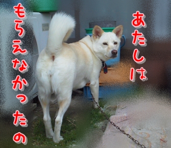 f0195543_14132587.jpg