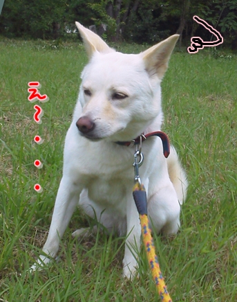 f0195543_20104148.jpg