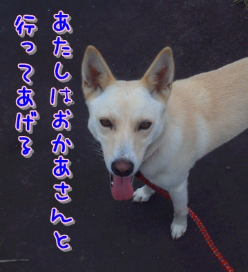 f0195543_20113973.jpg