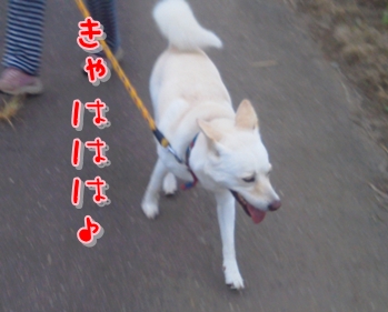 f0195543_20125146.jpg