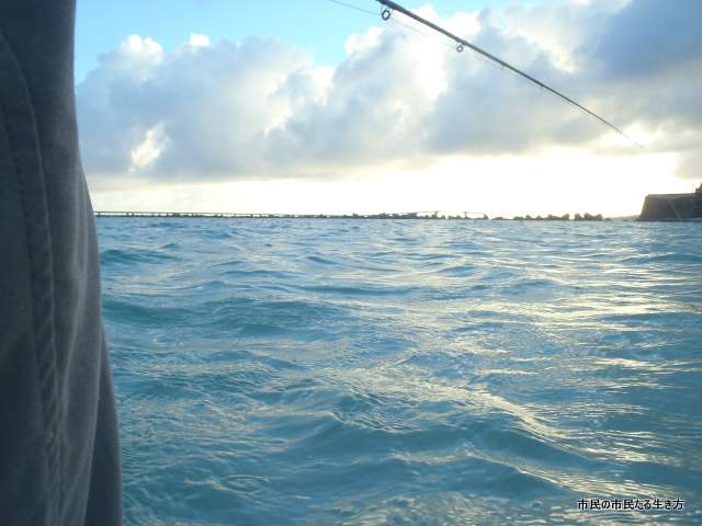 d0182245_2313189.jpg