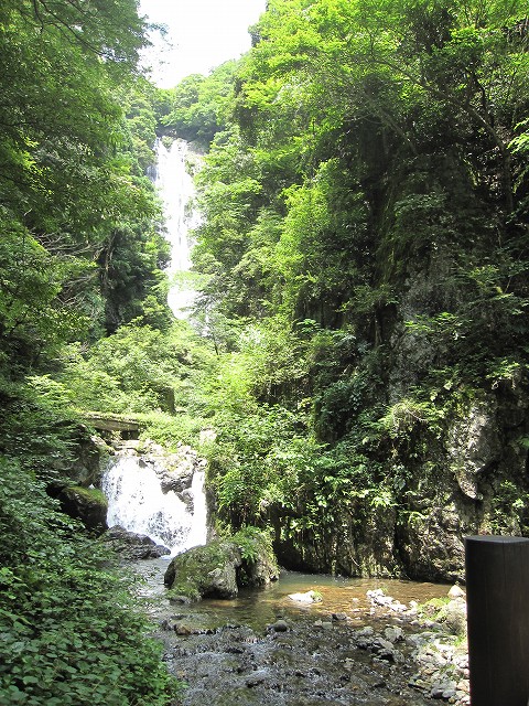 d0031853_22151345.jpg