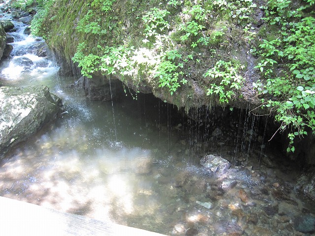 d0031853_22181959.jpg