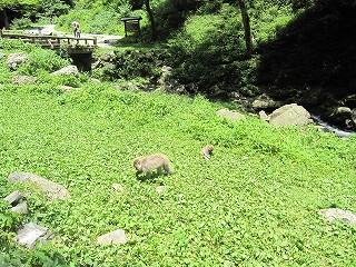 d0031853_22214158.jpg