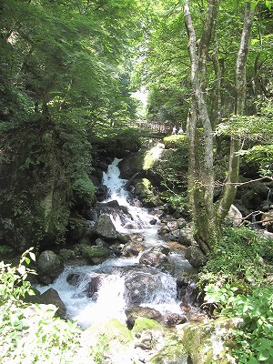 d0031853_22274340.jpg