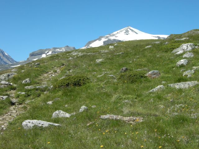 a0089754_6142472.jpg