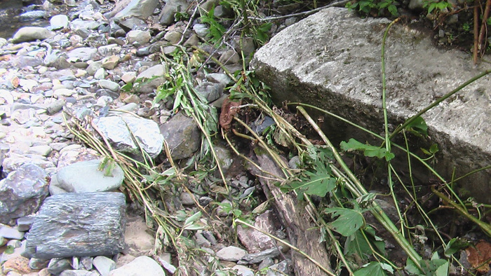 b0208961_636417.jpg