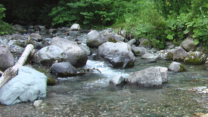 b0208961_641355.jpg