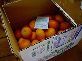 e0002466_19434188.jpg