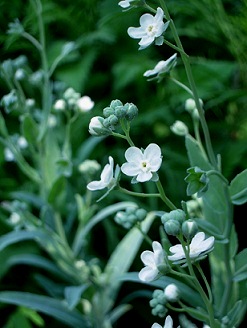 c0147569_0424088.jpg