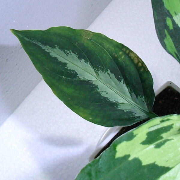 d0249970_2238196.jpg
