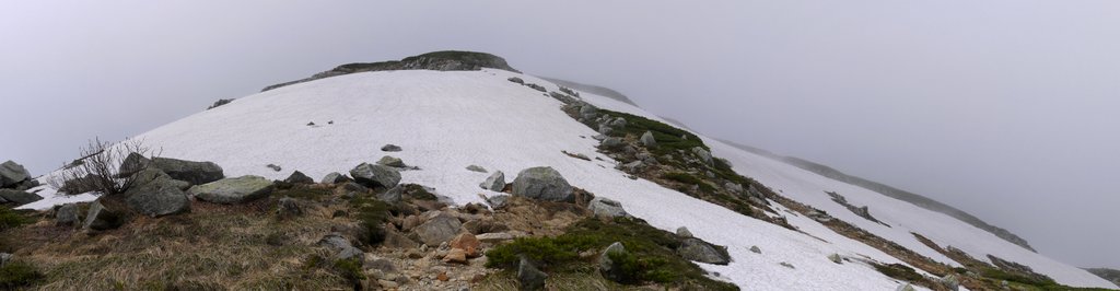 f0054075_17572562.jpg