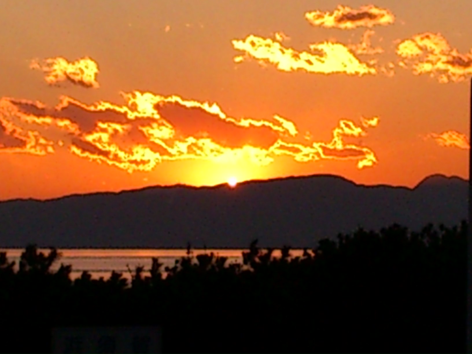 a0137279_16738.jpg