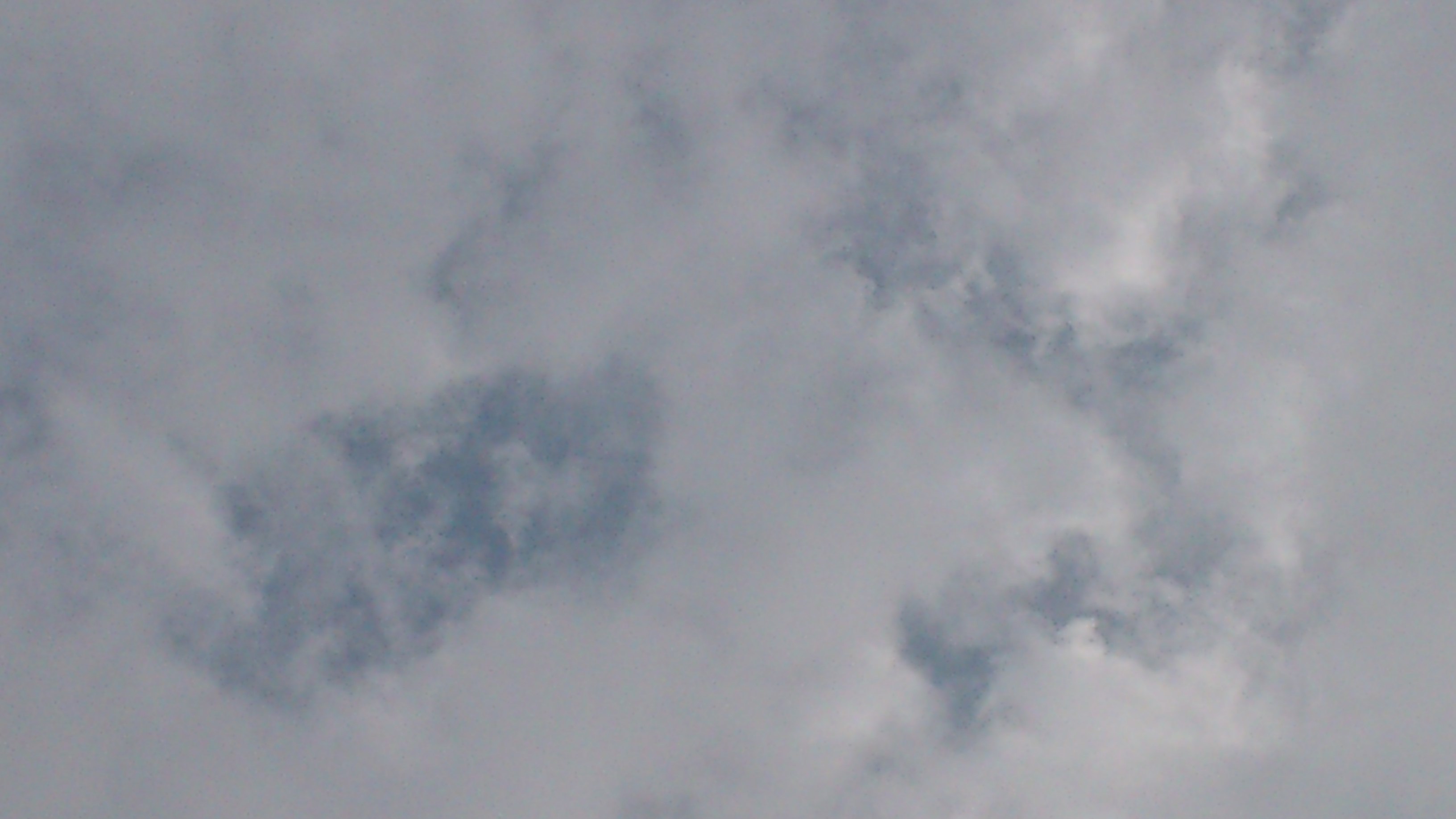 a0137279_9401533.jpg