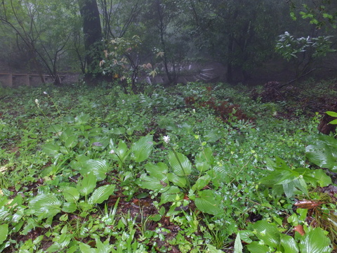 a0043982_17132593.jpg