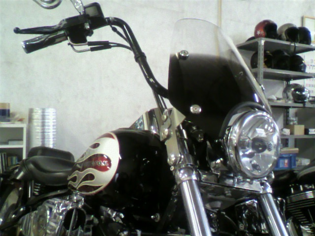 e0223584_850574.jpg
