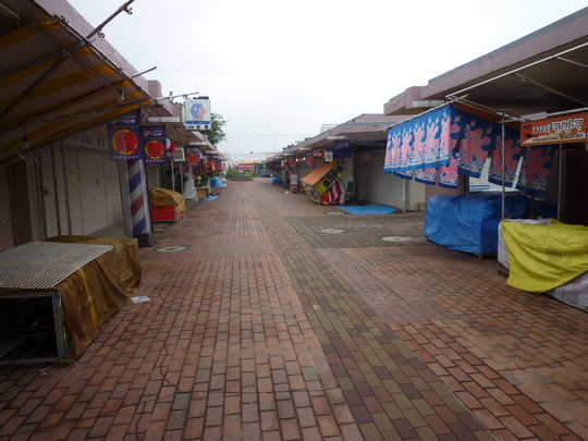 a0272591_831164.jpg