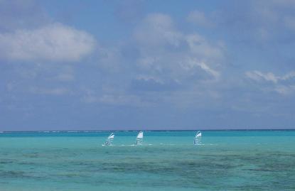 e0077899_1251799.jpg