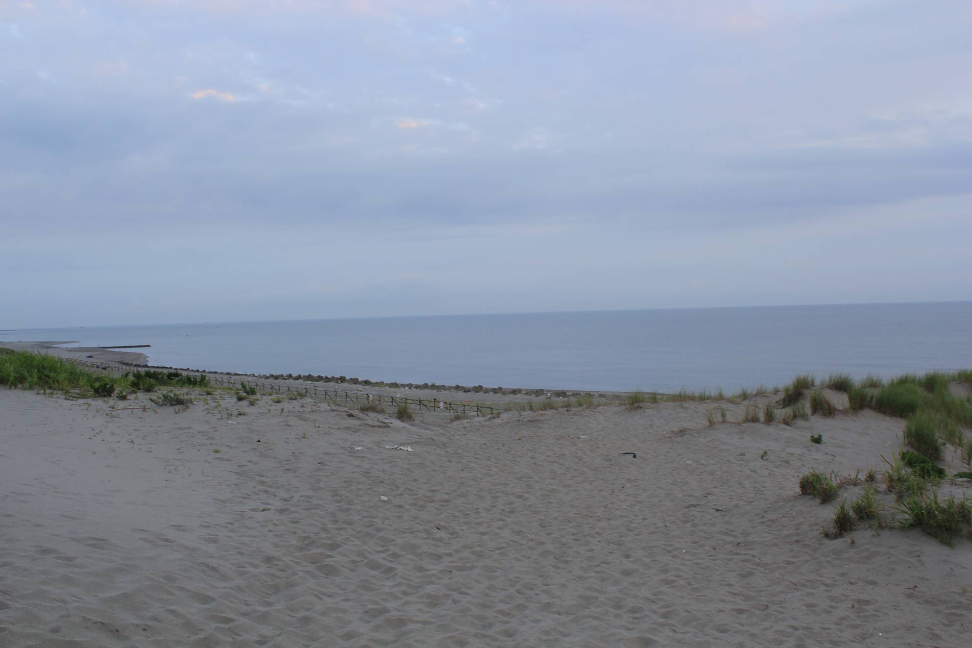 a0264604_7244924.jpg