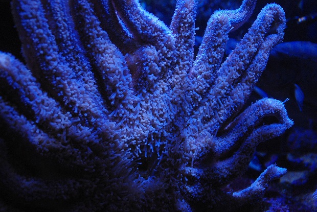 f0038904_6325246.jpg