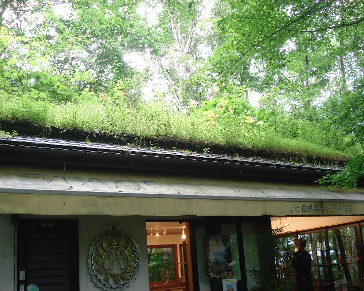 b0148106_618177.jpg