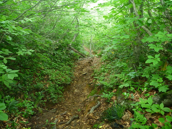 f0225414_2323131.jpg