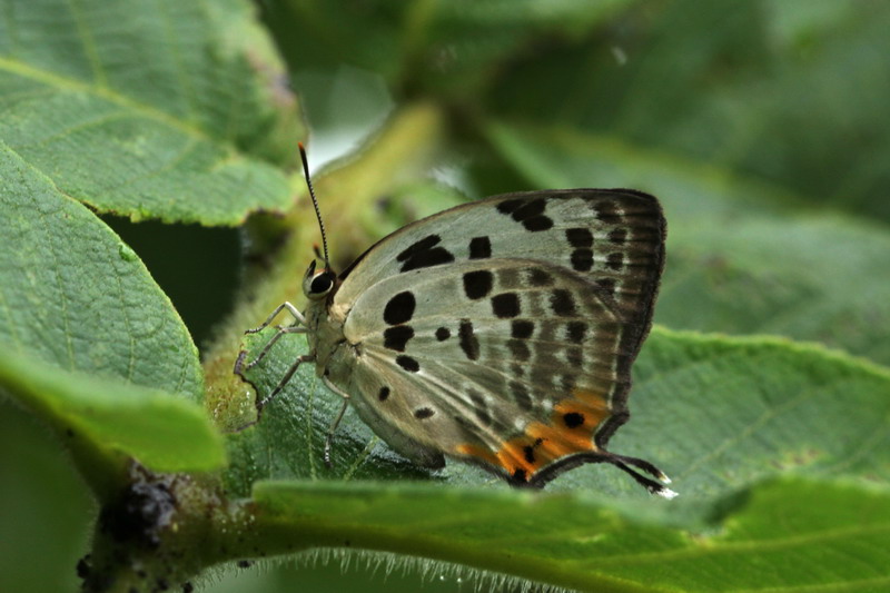 d0090322_6203254.jpg