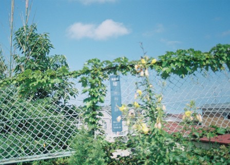c0140723_22552420.jpg
