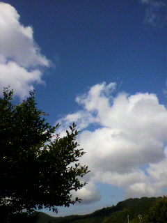 f0036223_93163.jpg