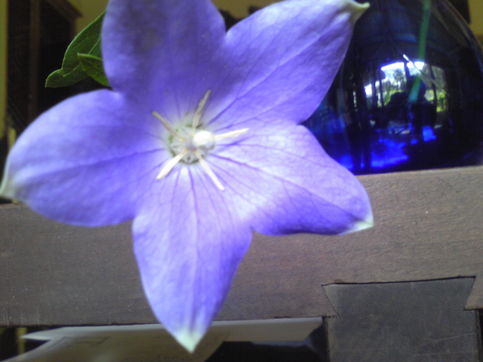 c0211734_2310950.jpg