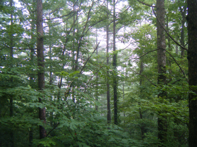 f0183141_211485.jpg