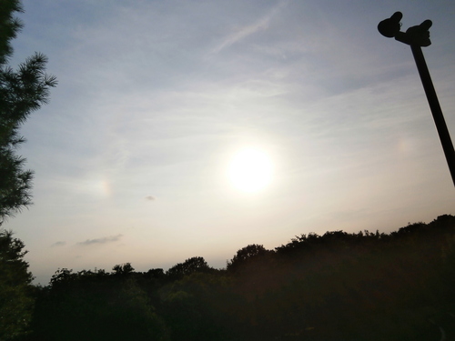 e0121548_215016.jpg
