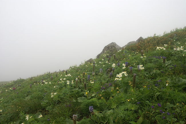 f0214649_2114351.jpg