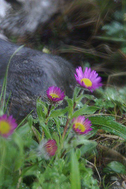 f0214649_21284364.jpg