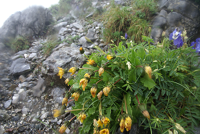 f0214649_21293638.jpg
