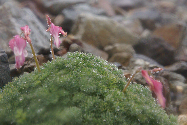 f0214649_21452495.jpg