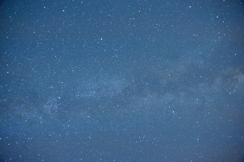 d0169556_17491916.jpg