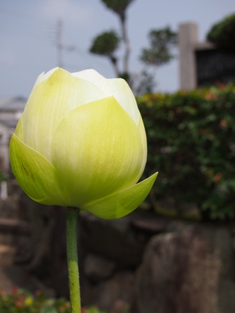 b0246758_16432489.jpg