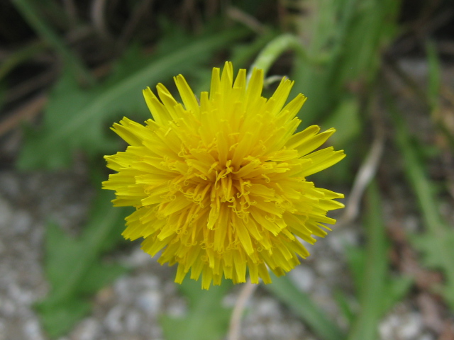 b0267163_13371656.jpg