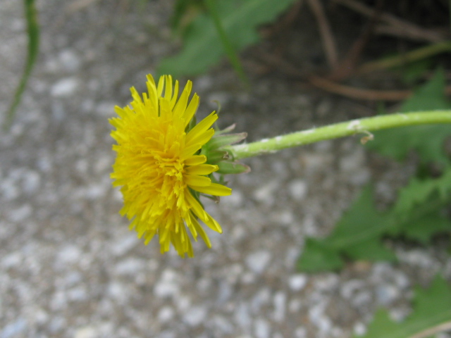 b0267163_14514954.jpg