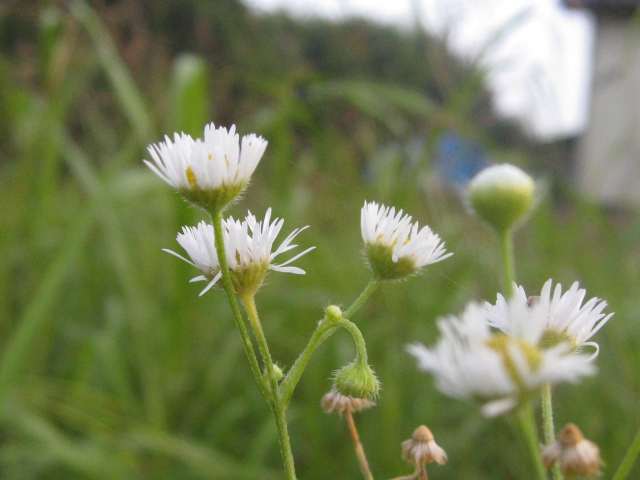 b0267163_9433580.jpg