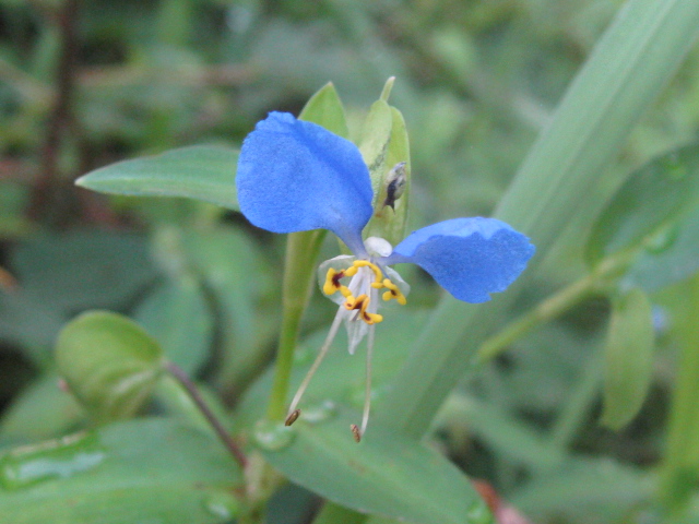 b0267163_9455575.jpg