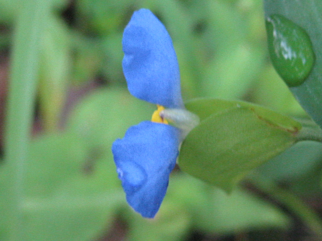 b0267163_945920.jpg