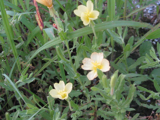 b0267163_9472759.jpg