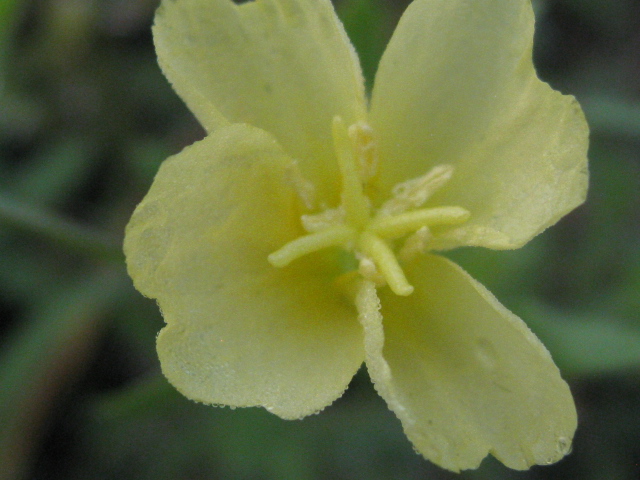 b0267163_948415.jpg