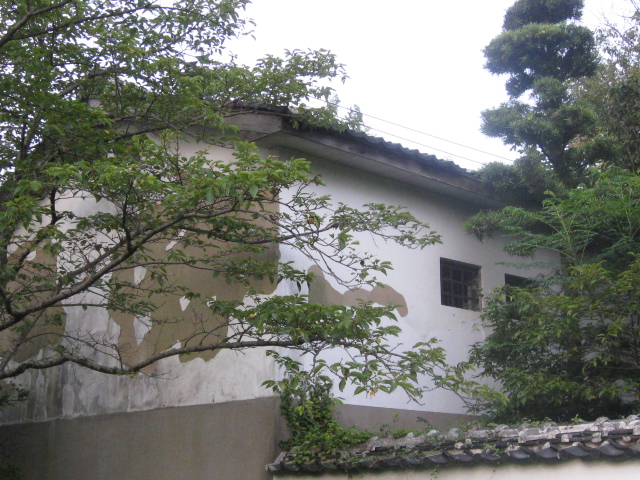 b0267163_951576.jpg
