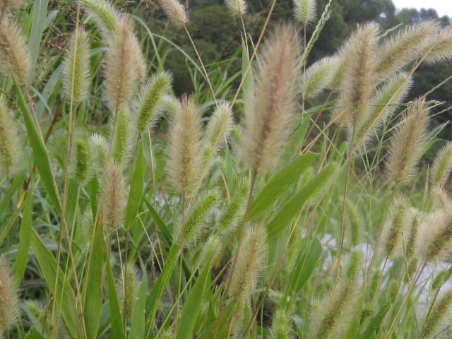 b0267163_9562572.jpg