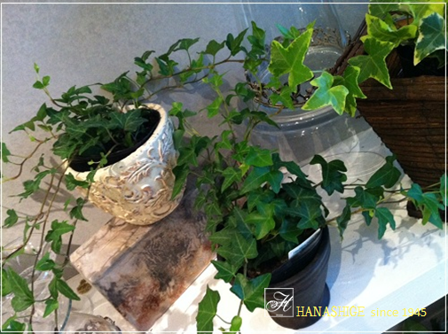 d0259063_041586.png