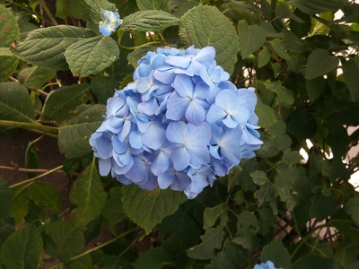 c0090564_14534793.jpg