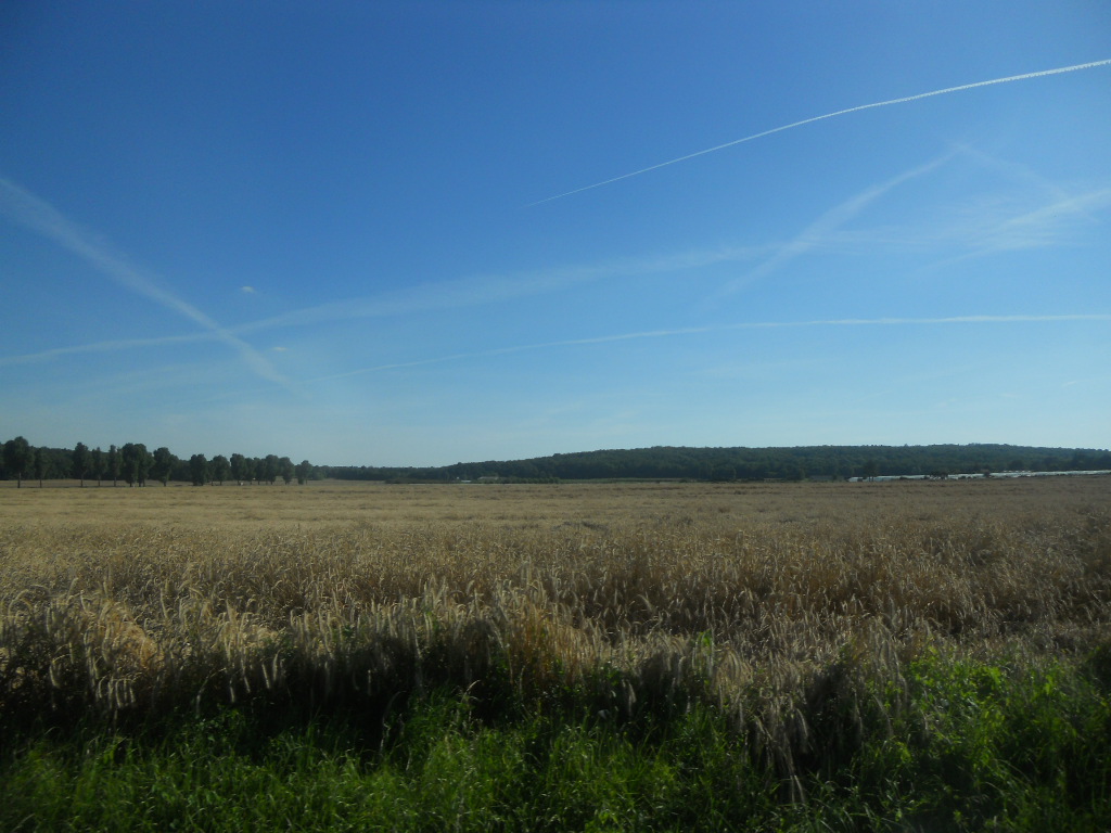 a0066869_16582757.jpg